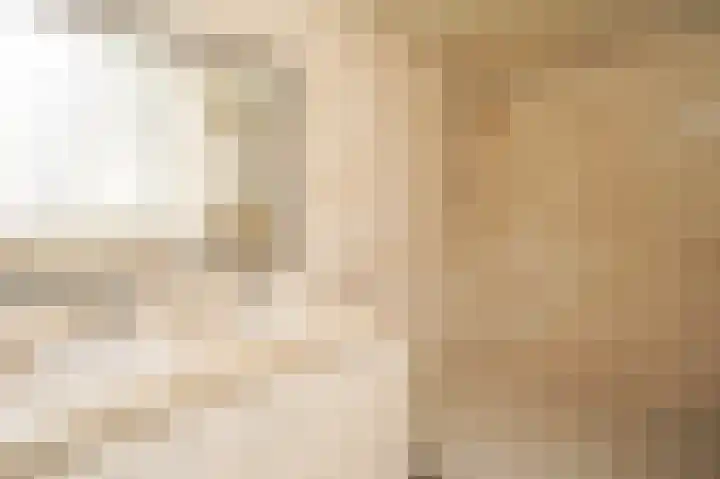 Vossenkoog 2 Alkmaar thumbnail 44