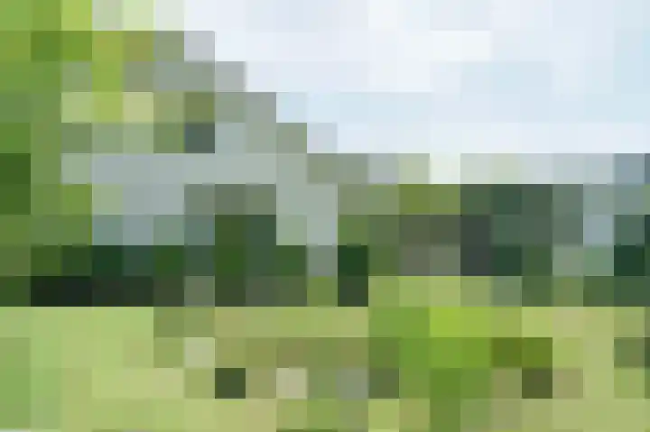 Vossenkoog 2 Alkmaar thumbnail 45