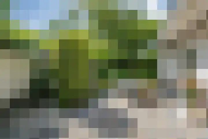 Vossenkoog 2 Alkmaar thumbnail 48