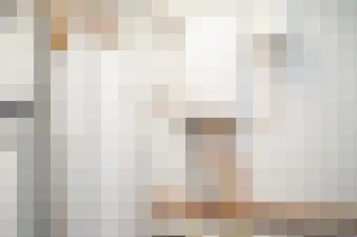Vossenkoog 2 Alkmaar thumbnail 55