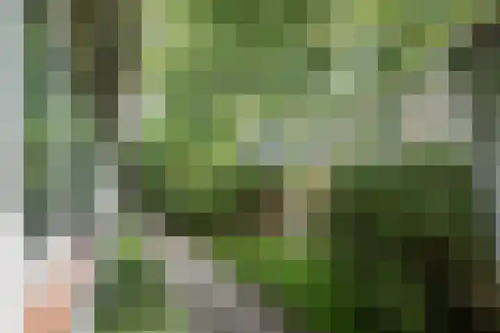 Vossenkoog 2 Alkmaar thumbnail 58