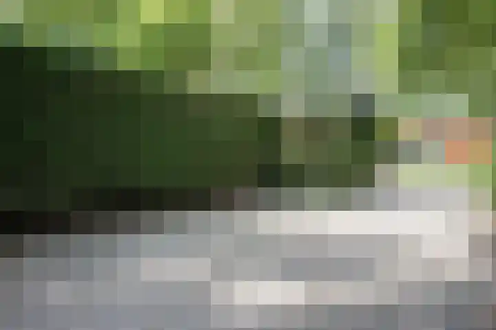 Vossenkoog 2 Alkmaar thumbnail 6
