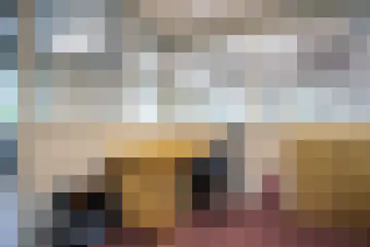 Vossenkoog 2 Alkmaar thumbnail 64