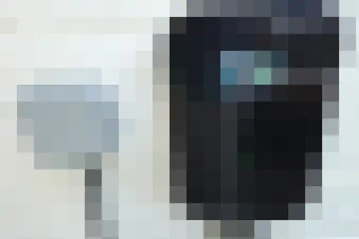 Vossenkoog 2 Alkmaar thumbnail 66