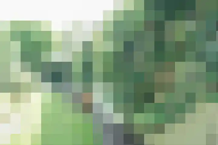 Vossenkoog 2 Alkmaar thumbnail 71