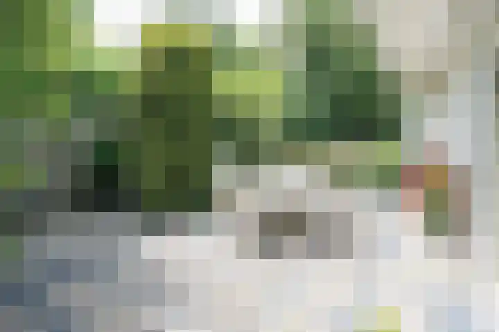 Vossenkoog 2 Alkmaar thumbnail 72