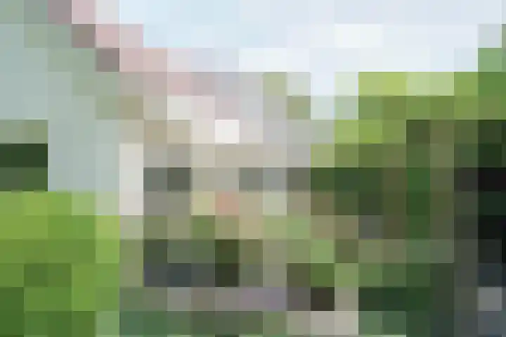 Vossenkoog 2 Alkmaar thumbnail 73