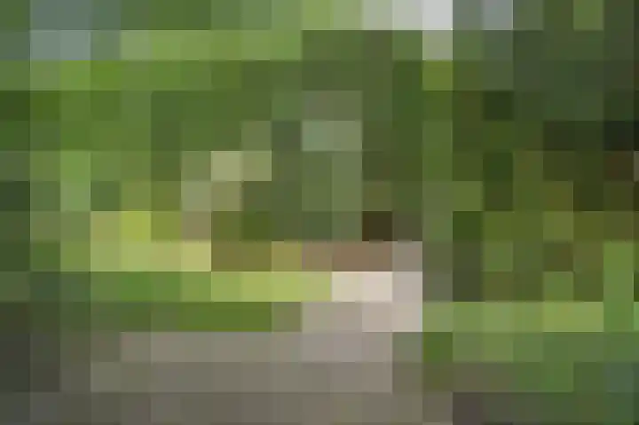 Vossenkoog 2 Alkmaar thumbnail 76