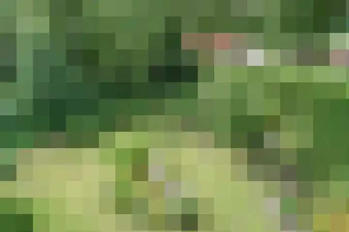 Vossenkoog 2 Alkmaar thumbnail 78