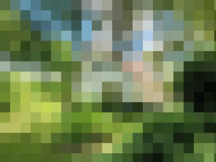 Vossenkoog 2 Alkmaar thumbnail 82