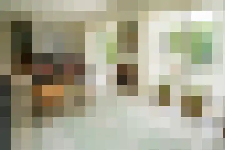 Vossenkoog 2 Alkmaar thumbnail 9