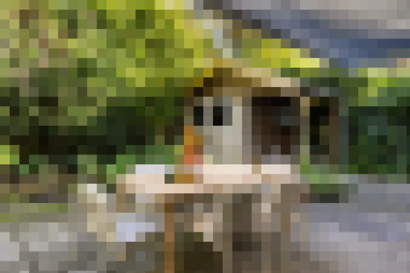 Vossenlaan 1 Maarn thumbnail 41