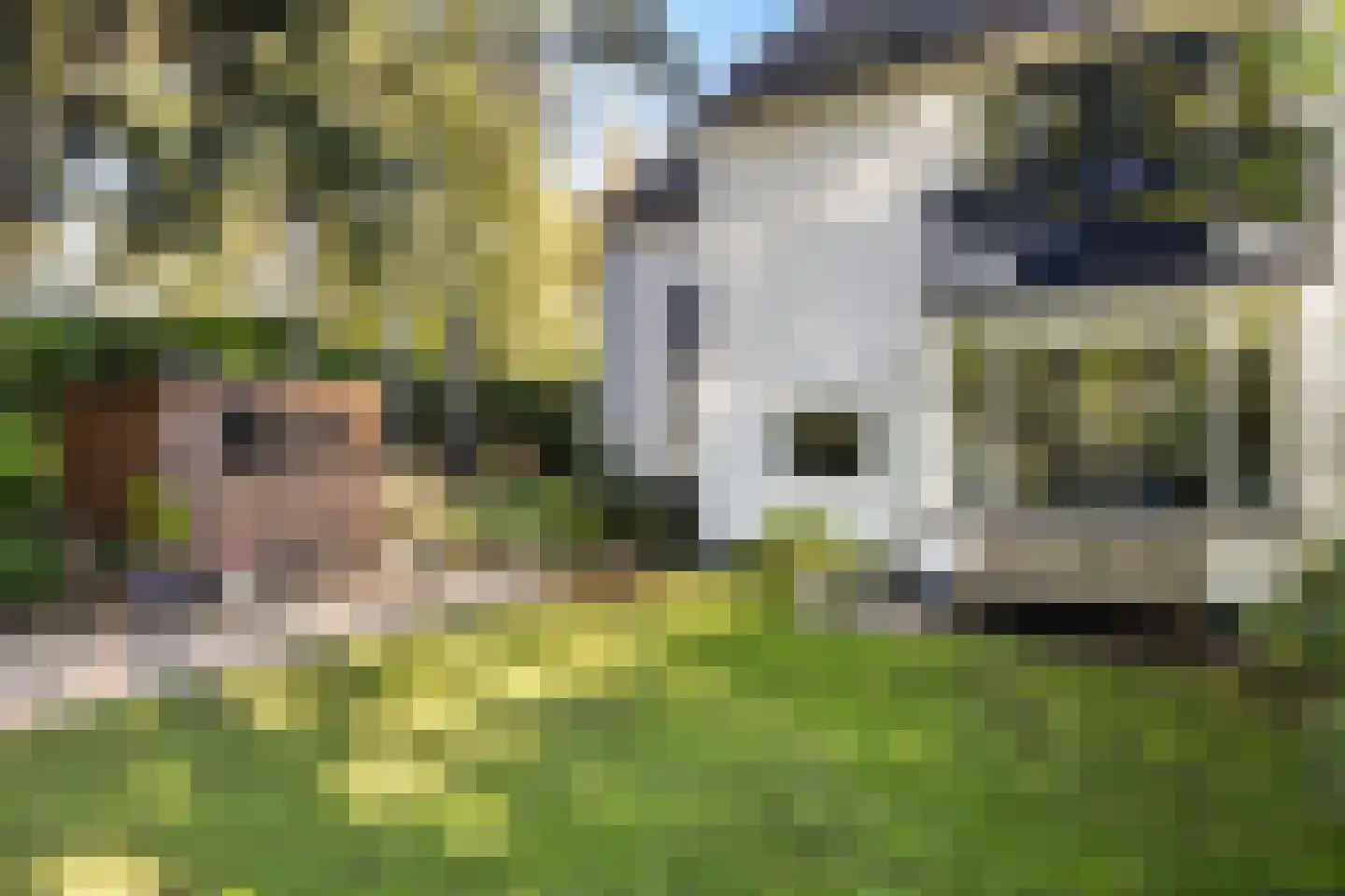 Vossenlaan 1 Maarn thumbnail 44