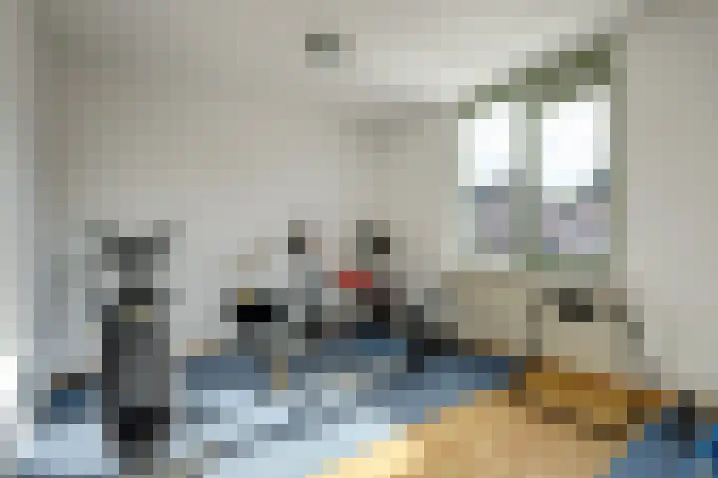 Vossenlaan 13 Bergen L thumbnail 16