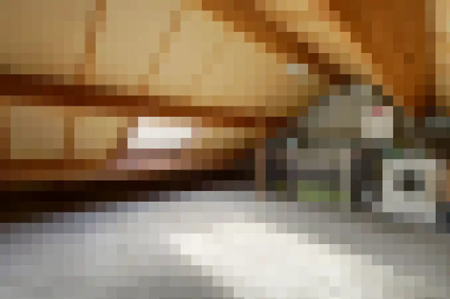 Vossenlaan 13 Bergen L thumbnail 19