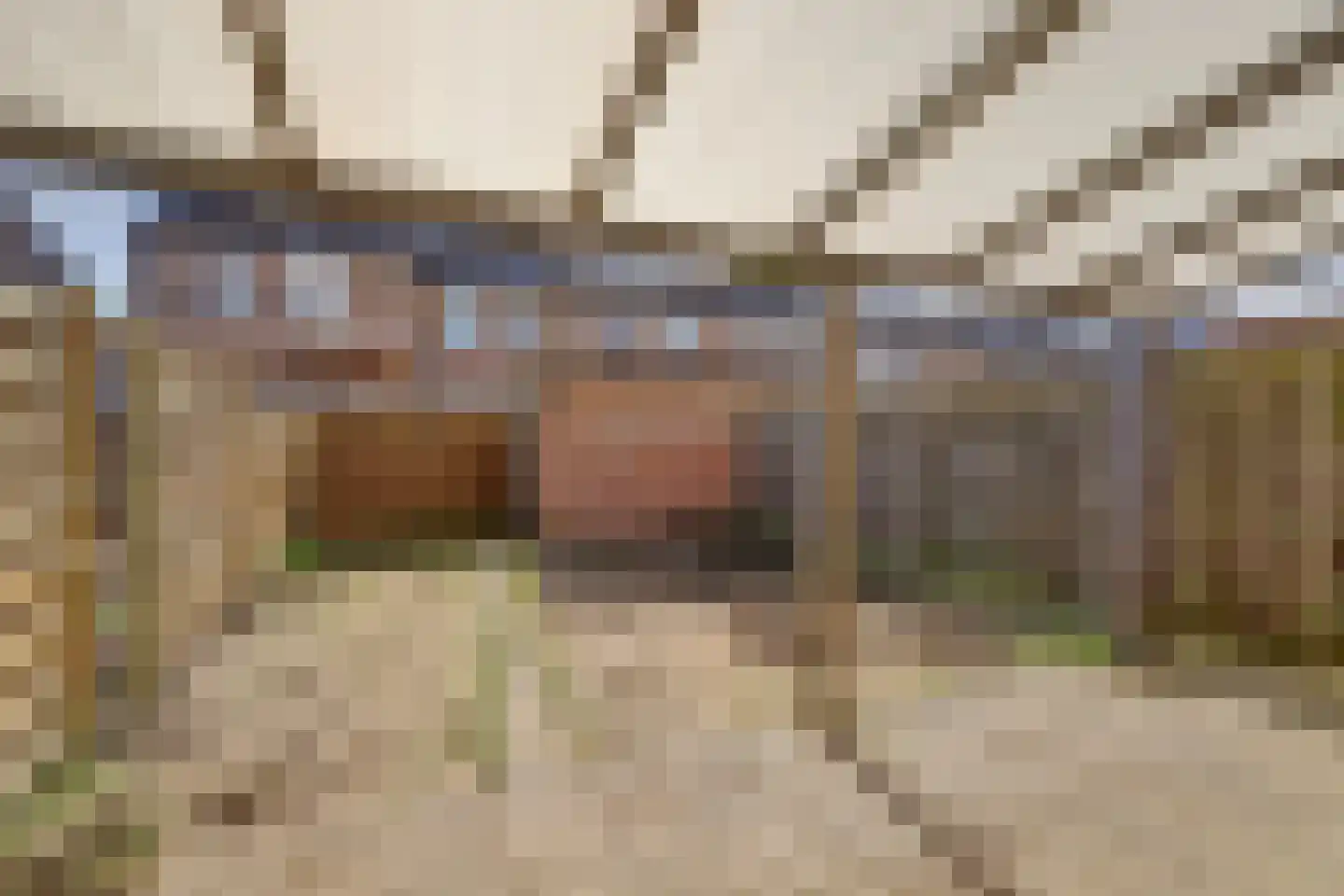 Vossenlaan 13 Bergen L thumbnail 21
