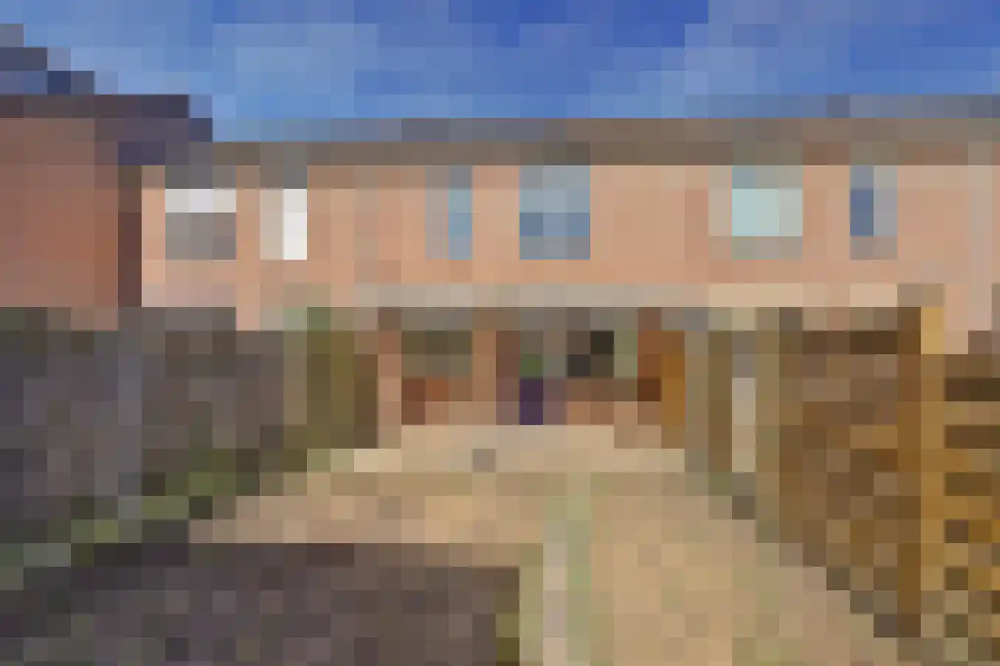Vossenlaan 13 Bergen L thumbnail 22