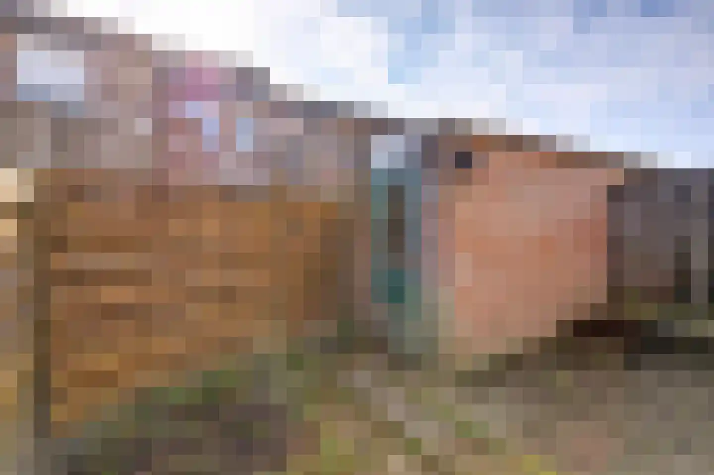 Vossenlaan 13 Bergen L thumbnail 23