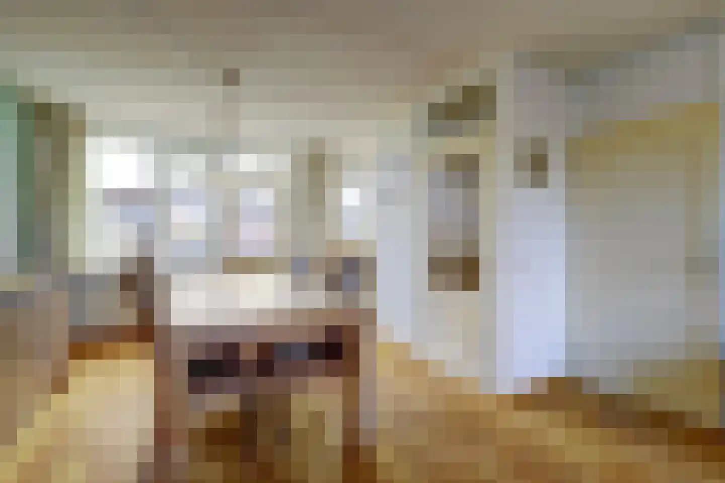 Vossenlaan 13 Bergen L thumbnail 9