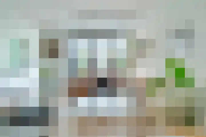 Vossenlaan 138 Nijmegen thumbnail 12