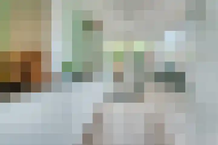 Vossenlaan 138 Nijmegen thumbnail 14