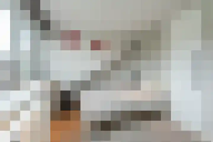 Vossenlaan 138 Nijmegen thumbnail 33