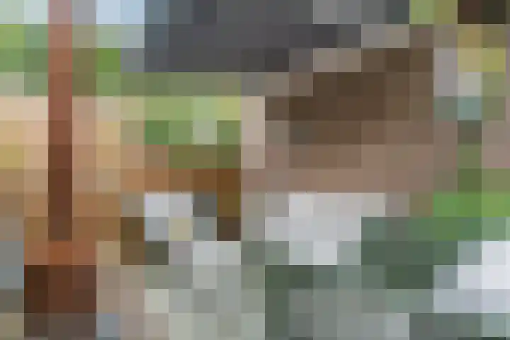 Vossenlaan 138 Nijmegen thumbnail 38