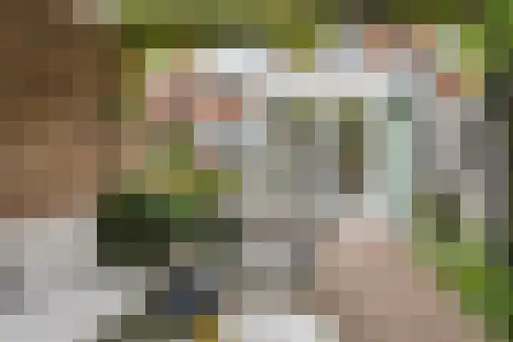 Vossenlaan 138 Nijmegen thumbnail 39