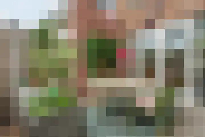 Vossenlaan 138 Nijmegen thumbnail 40