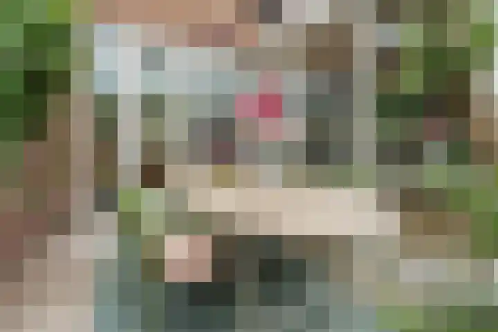 Vossenlaan 138 Nijmegen thumbnail 41