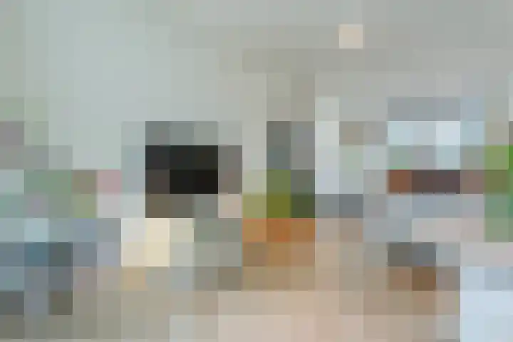Vossenlaan 138 Nijmegen thumbnail 5