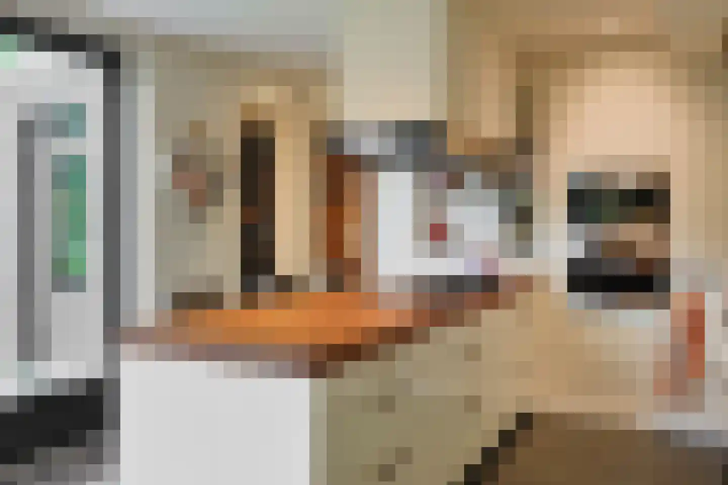 Vossenlaan 16 Waalre thumbnail 29