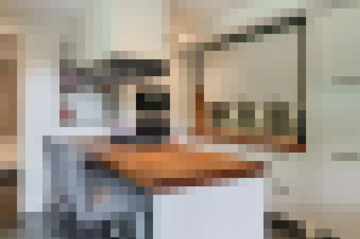 Vossenlaan 16 Waalre thumbnail 30