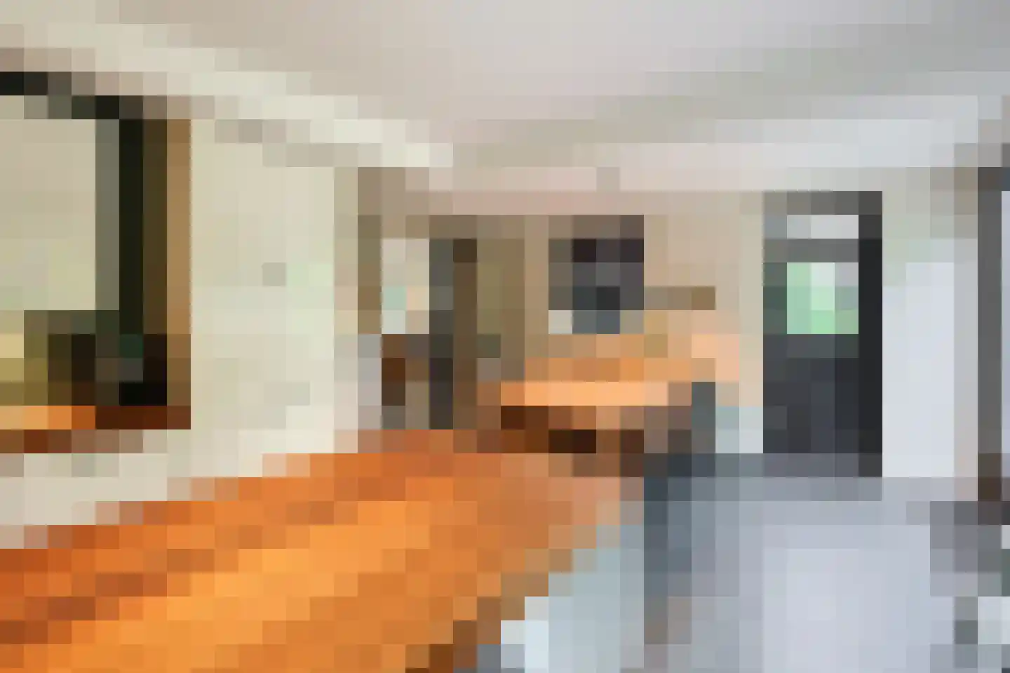 Vossenlaan 16 Waalre thumbnail 31