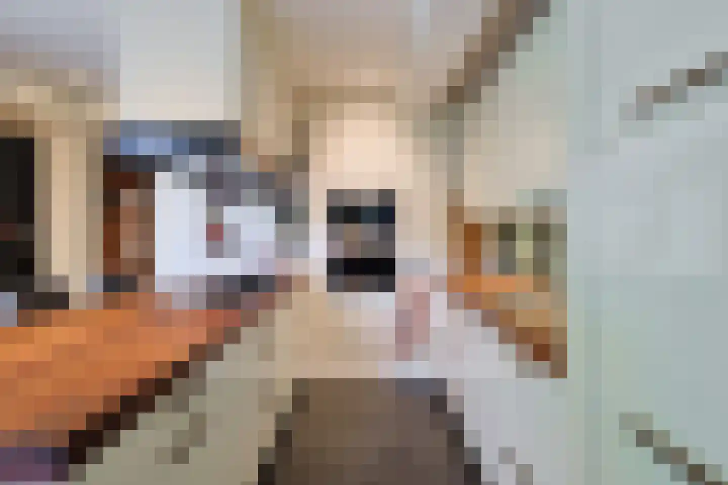 Vossenlaan 16 Waalre thumbnail 33