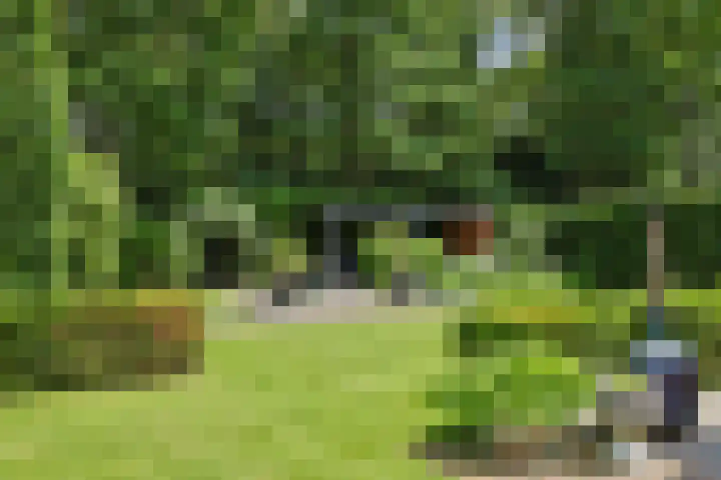Vossenlaan 16 Waalre thumbnail 39