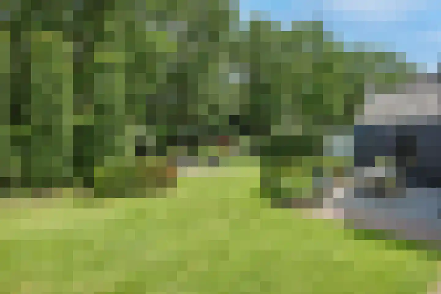 Vossenlaan 16 Waalre thumbnail 40