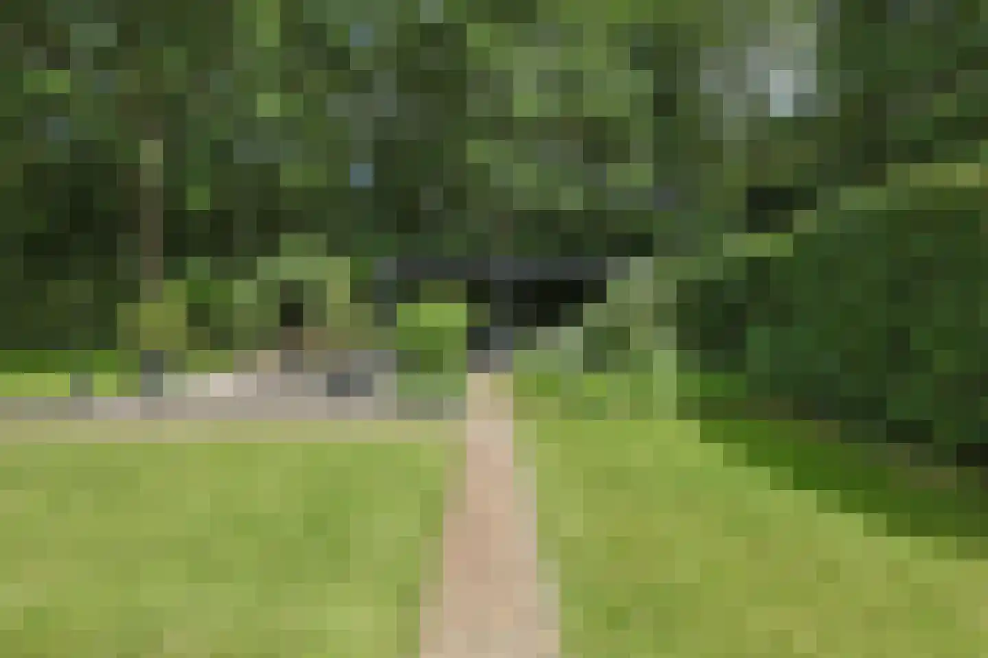 Vossenlaan 16 Waalre thumbnail 44