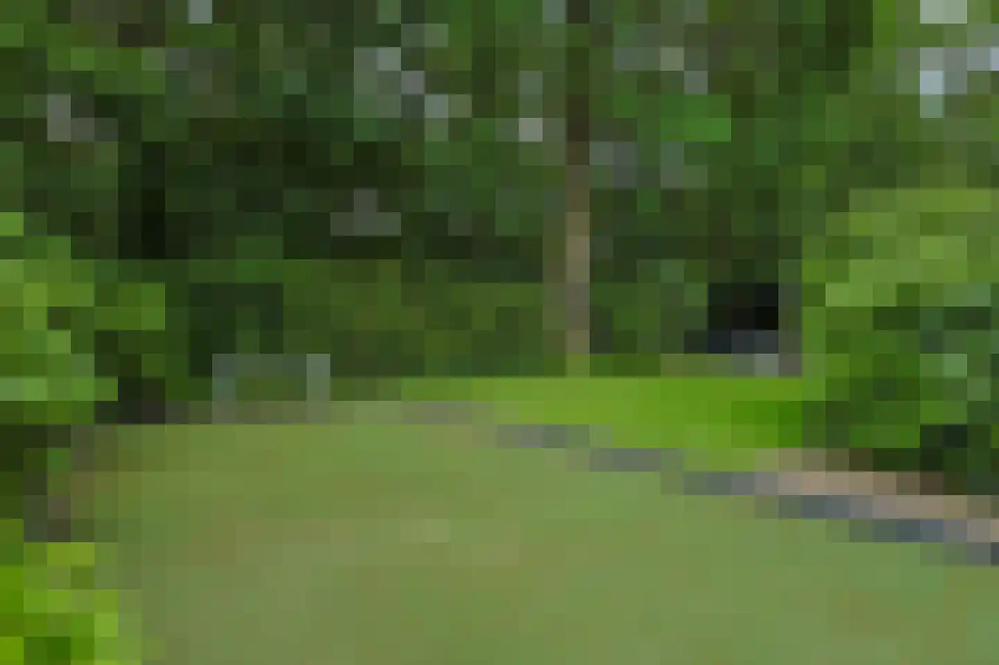 Vossenlaan 16 Waalre thumbnail 45