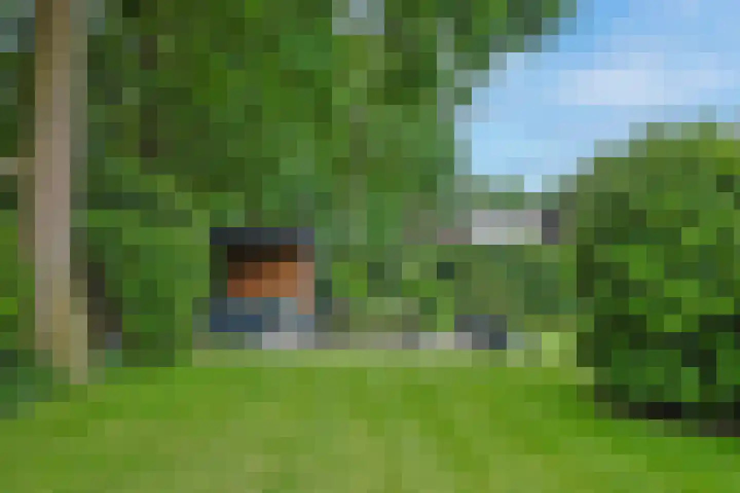 Vossenlaan 16 Waalre thumbnail 46