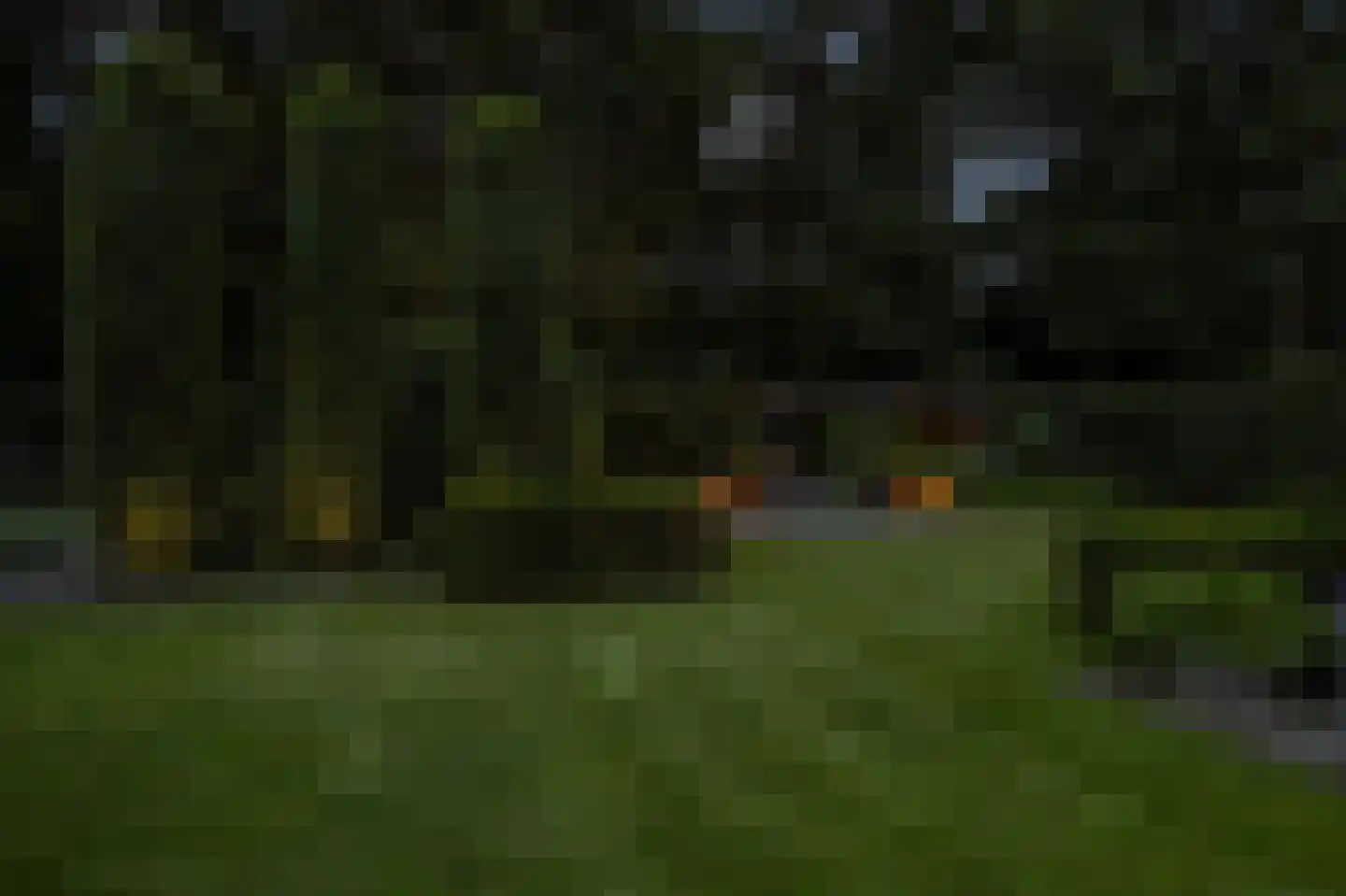 Vossenlaan 16 Waalre thumbnail 47