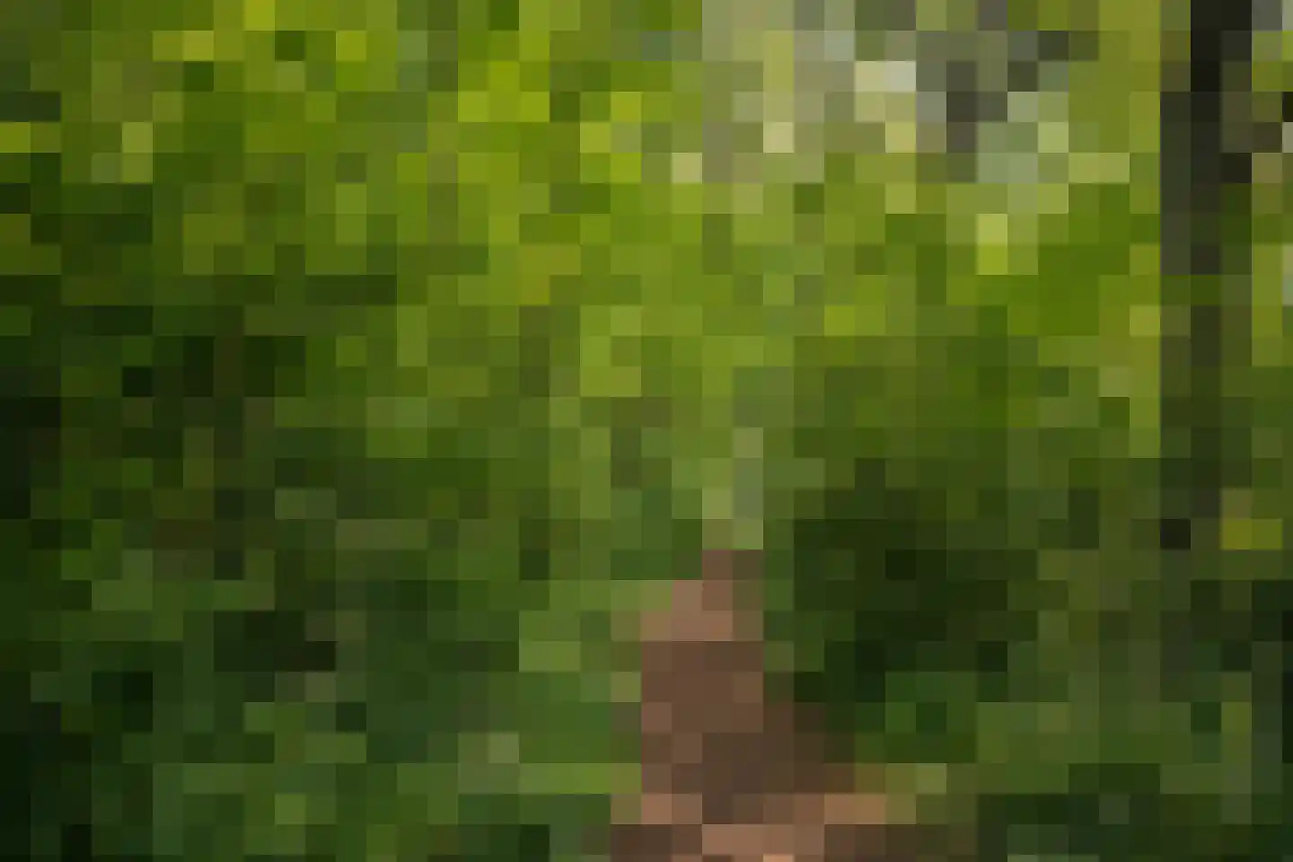 Vossenlaan 16 Waalre thumbnail 49