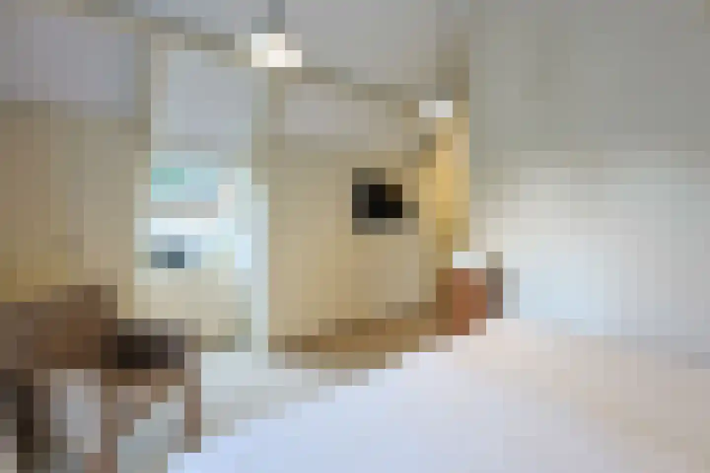 Vossenlaan 16 Waalre thumbnail 55