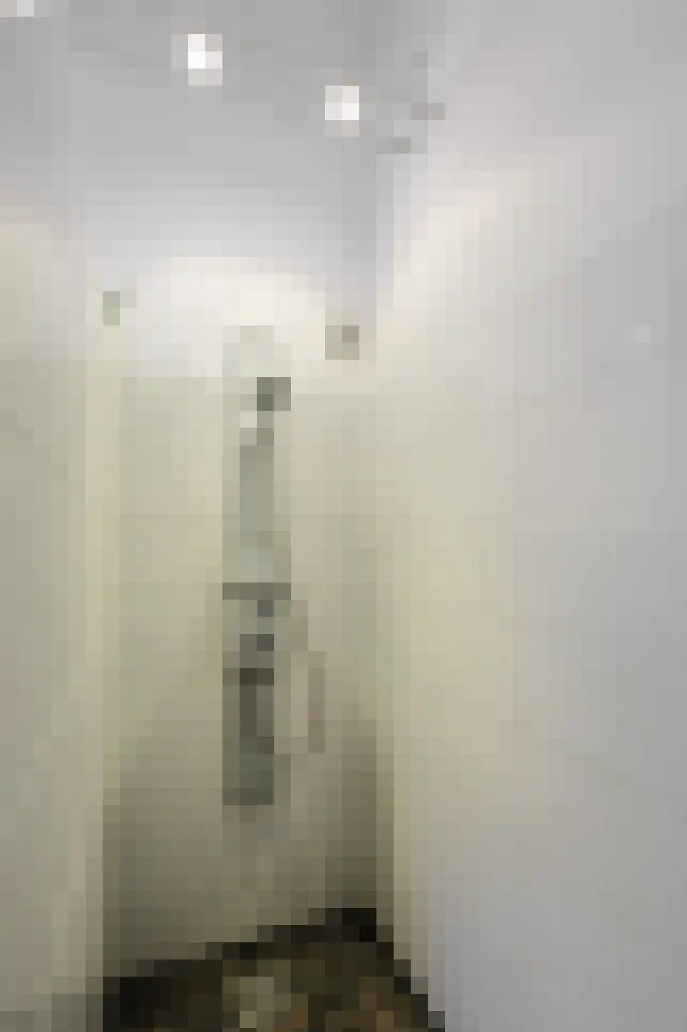 Vossenlaan 16 Waalre thumbnail 61