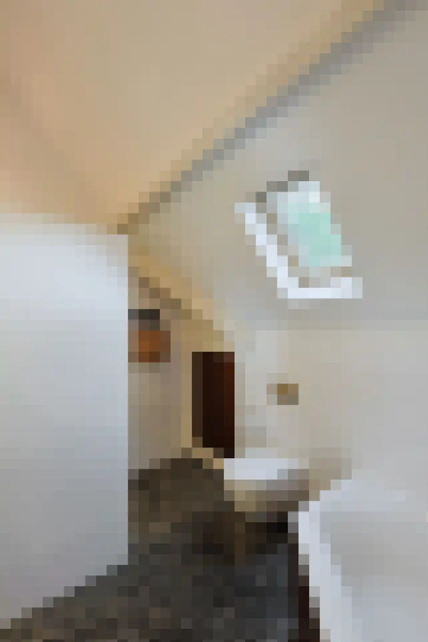 Vossenlaan 16 Waalre thumbnail 63