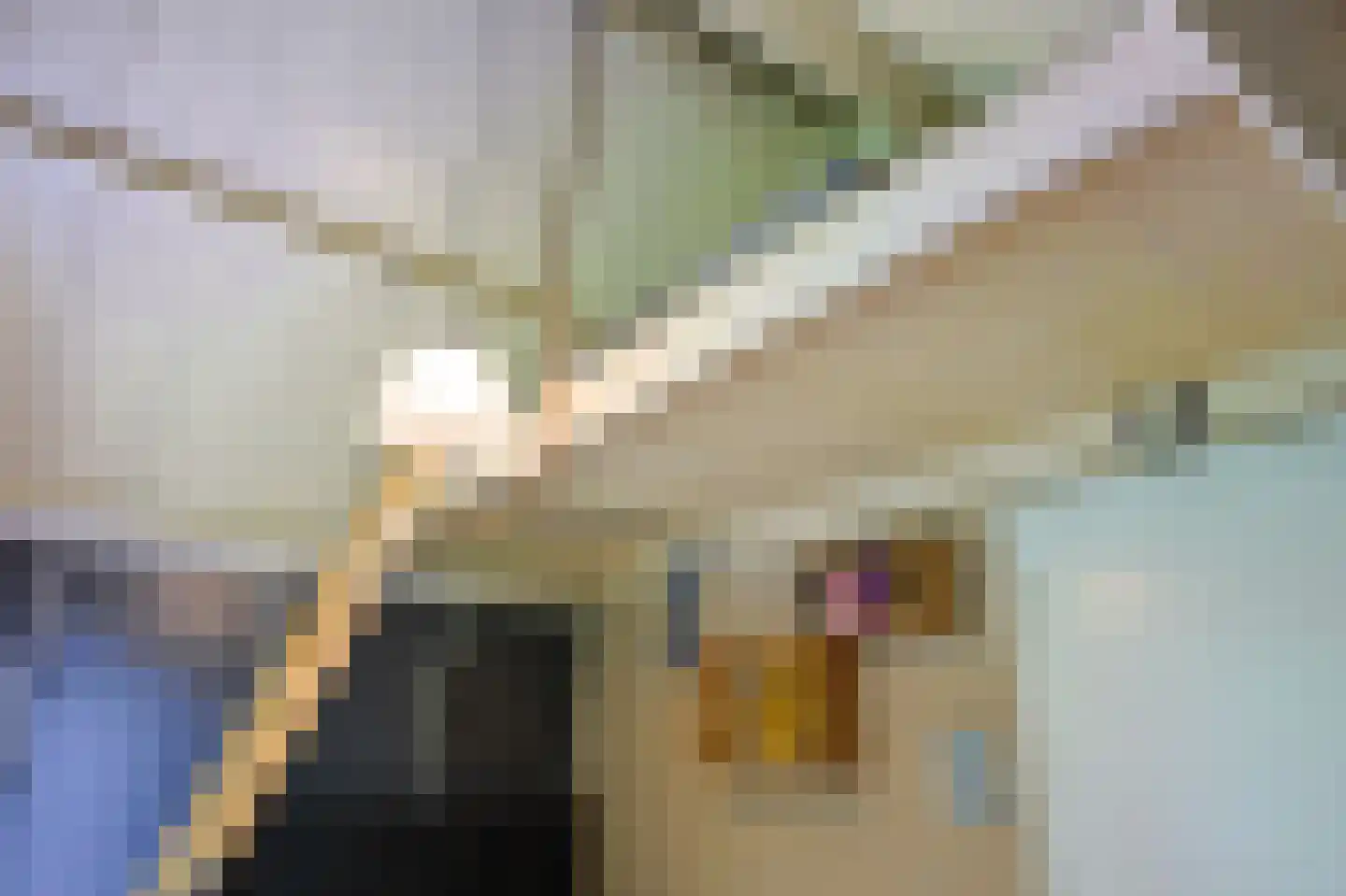 Vossenlaan 16 Waalre thumbnail 66