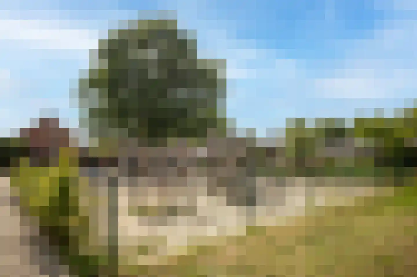 Vossenlaan 16 Waalre thumbnail 70