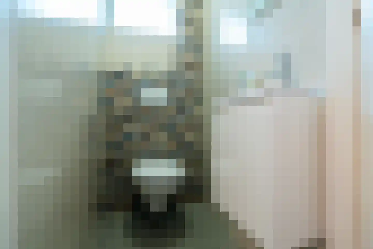 Vossenlaan 2 Haren Gn thumbnail 29