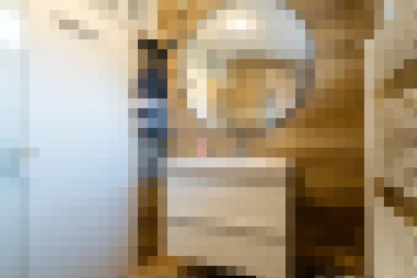 Vossenlaan 2 Haren Gn thumbnail 39