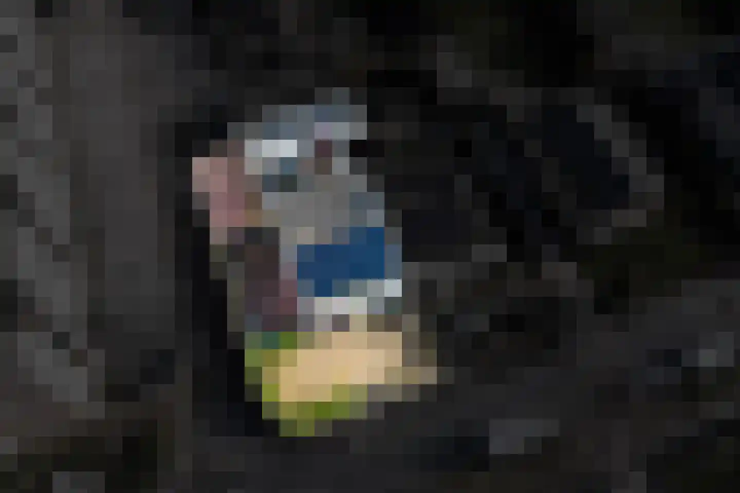 Vossenlaan 2 Haren Gn thumbnail 54
